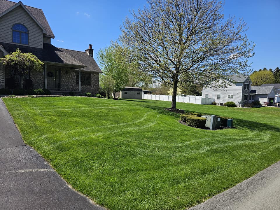 A My Lawn Guy Gaven-maintained lawn