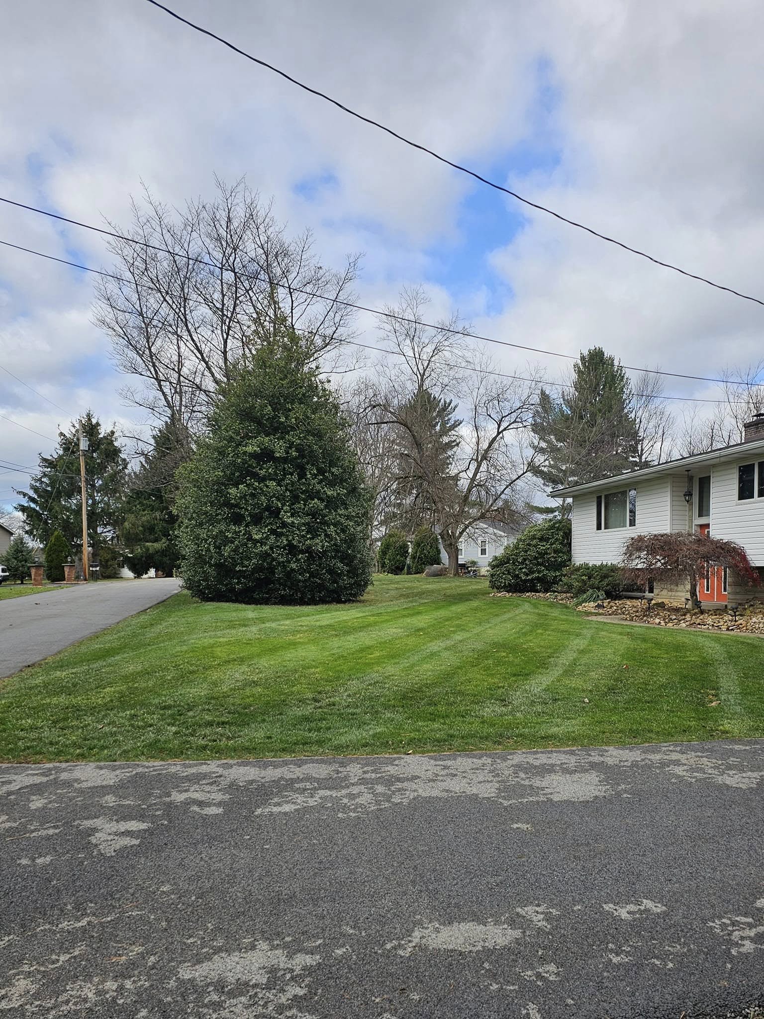 My Lawn Guy Gaven lawn transformation