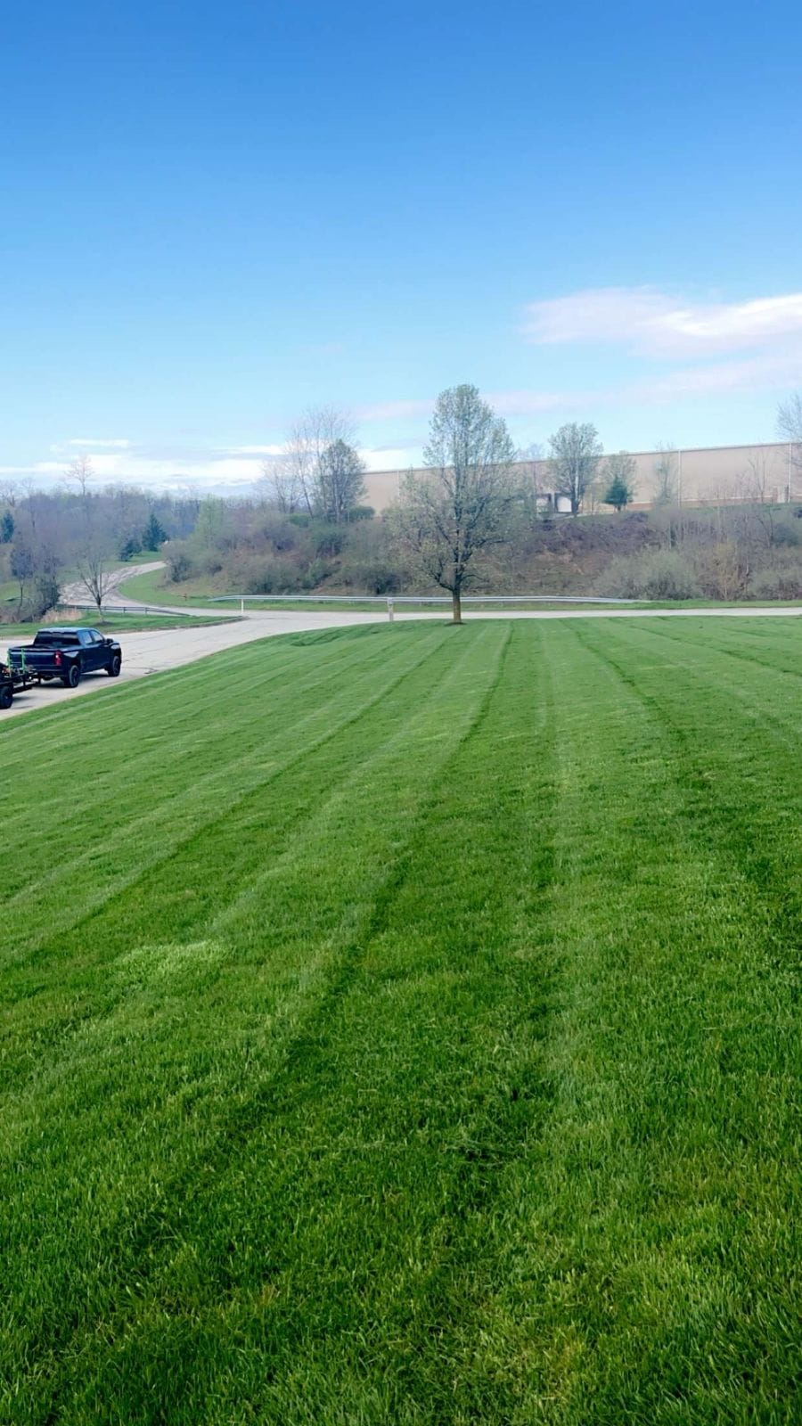 My Lawn Guy Gaven lawn transformation