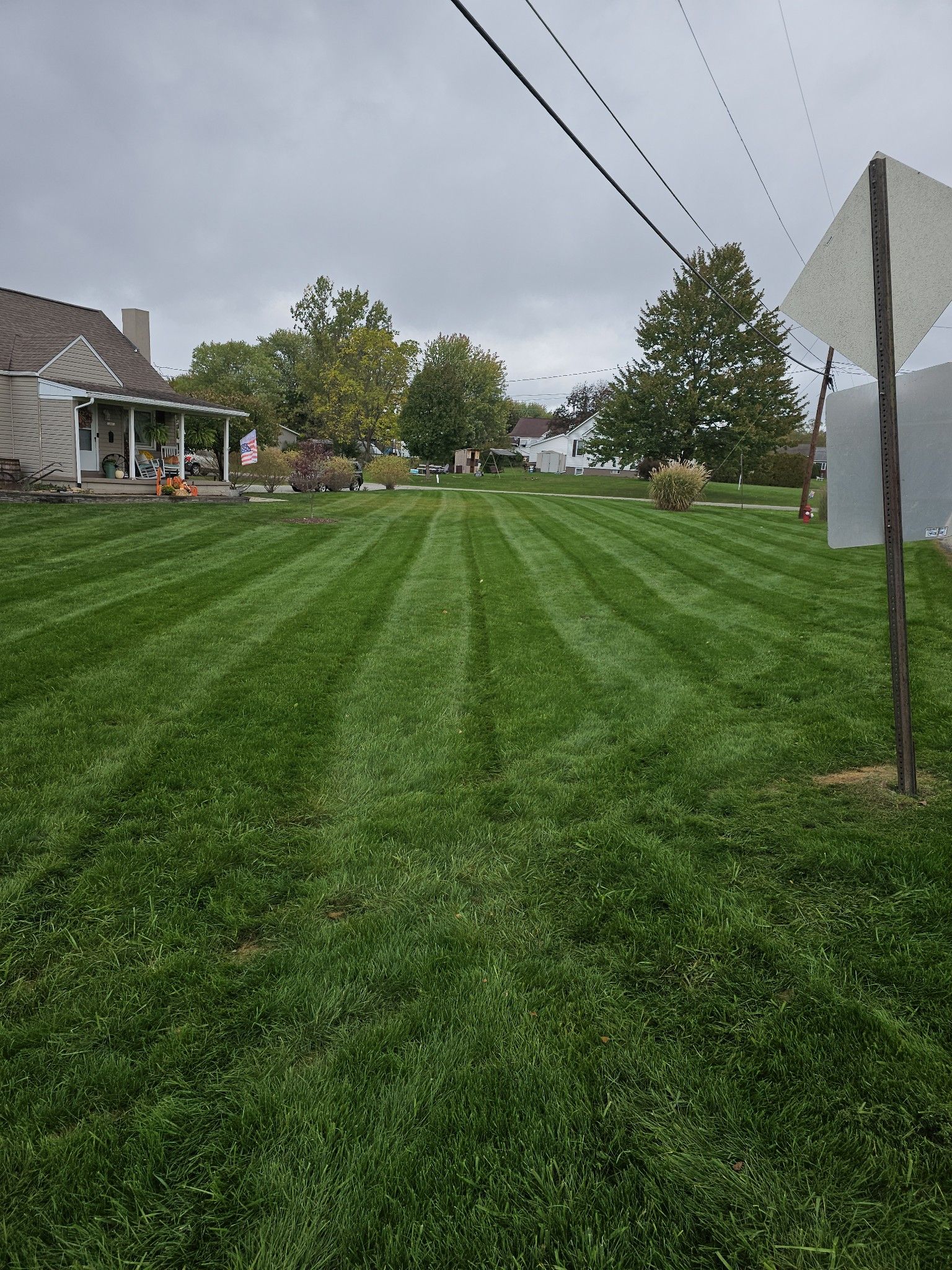 My Lawn Guy Gaven lawn transformation
