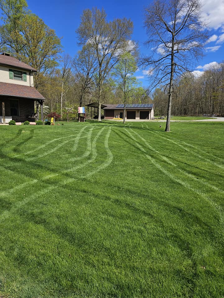 My Lawn Guy Gaven lawn transformation